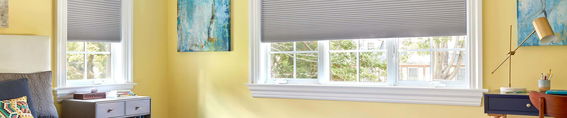 Honeycomb/Cellular Shades