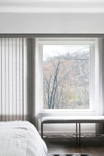 Vertical Blind