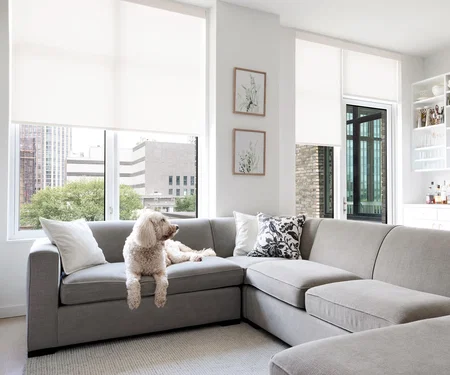 SAVE SMART:<br>50% OFF<br><em style="color:#C8D96A !important;">MOTORIZATION</em> SAVE SMART:<br>50% OFF<br><em style="color:#C8D96A !important;">MOTORIZATION</em>