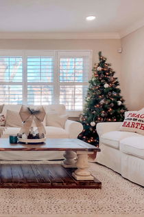 Shutters at Christmas