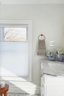 Privacy and light with top-down bottom-up cellular shades