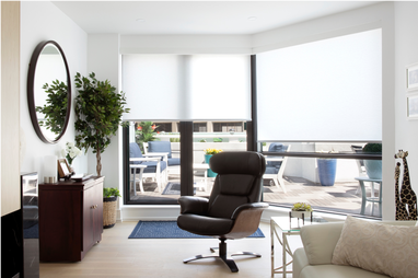 Window Shades Window Shades